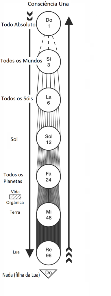 o Raio da Criação